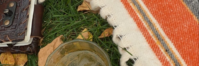 nikkiraesmith's profile banner image