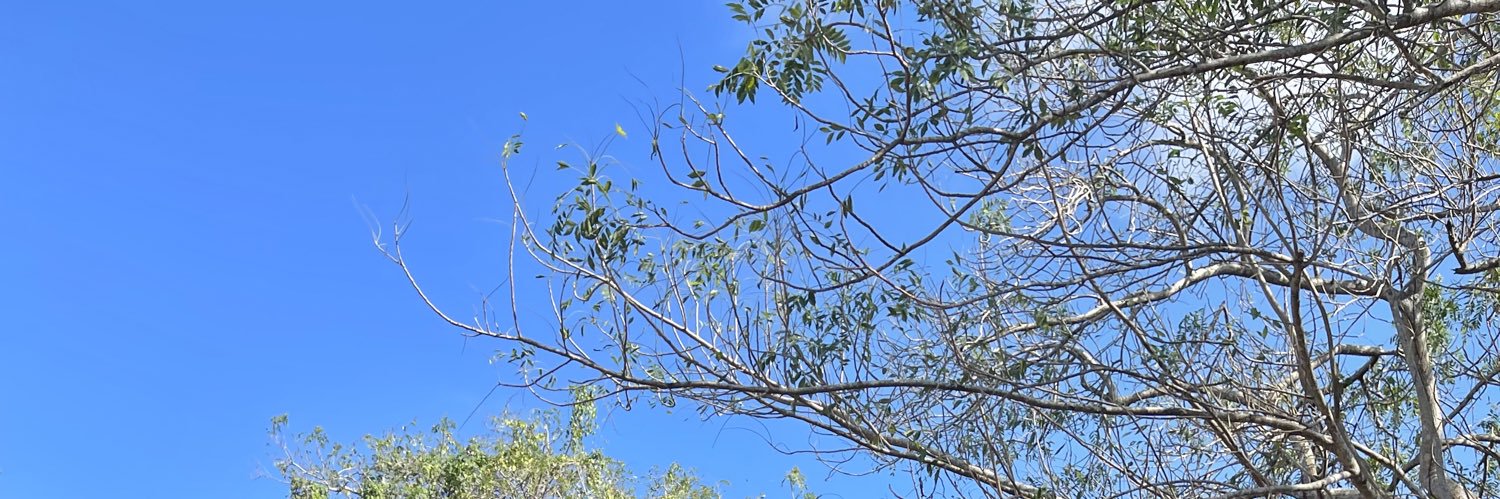 JEldeen's profile banner image