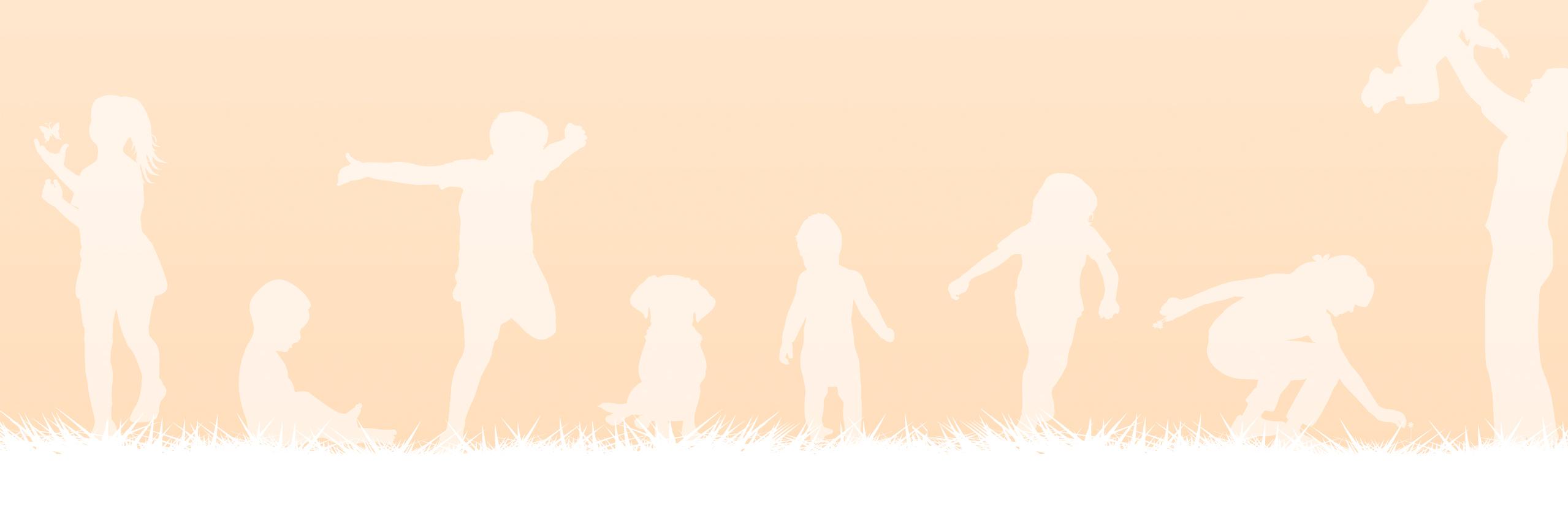 KdVSFoundation's profile banner image