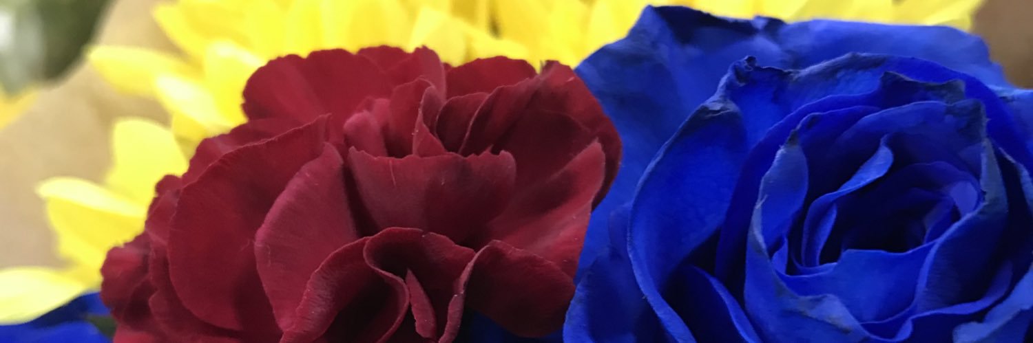 WolfieDagger22's profile banner image