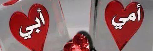 ༻ يحيى عامر༺ banner