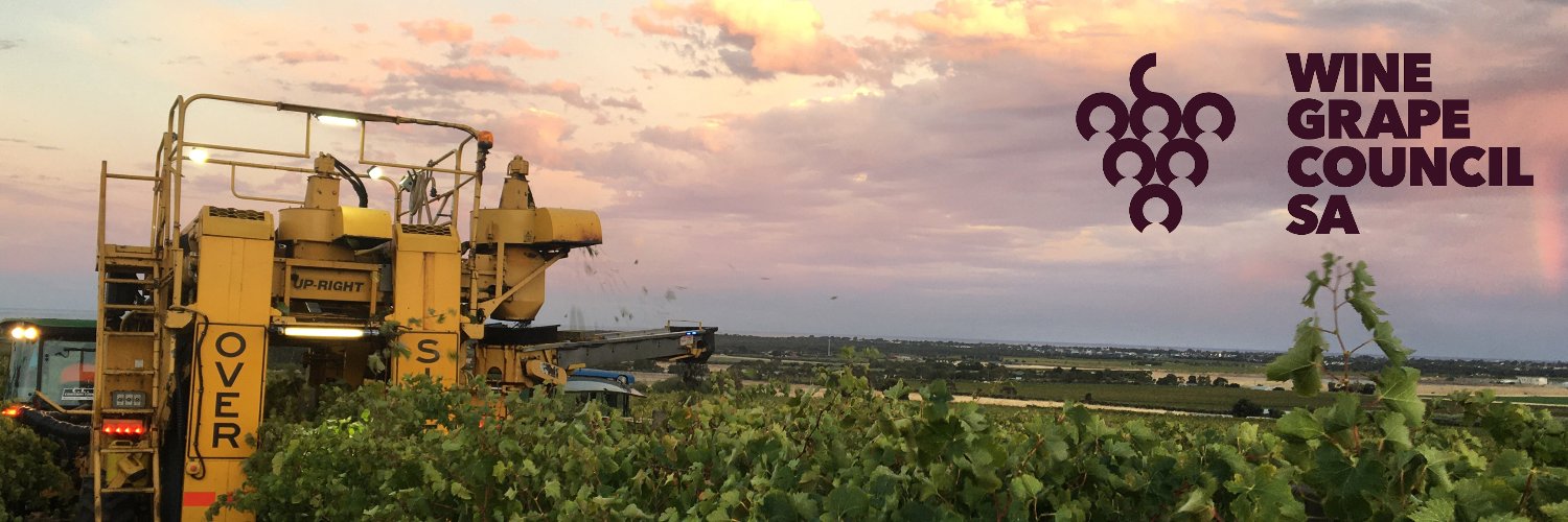 WineGrape Council SA banner