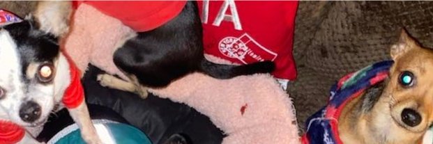 cole_bcast's profile banner image