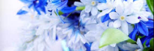 Paige_OKeefe's profile banner image