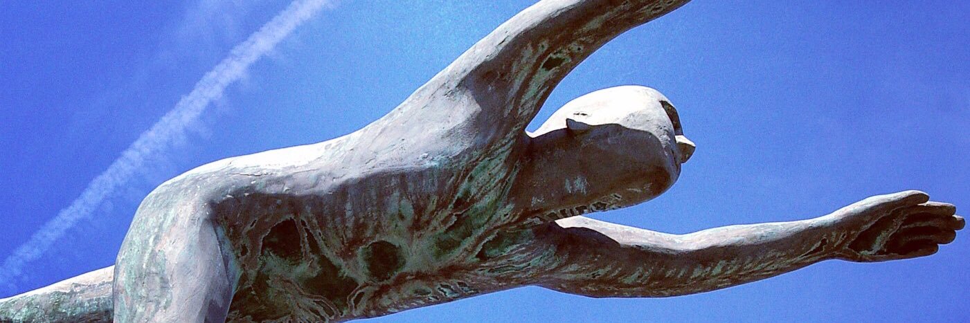 Soc Ent North Staffs banner