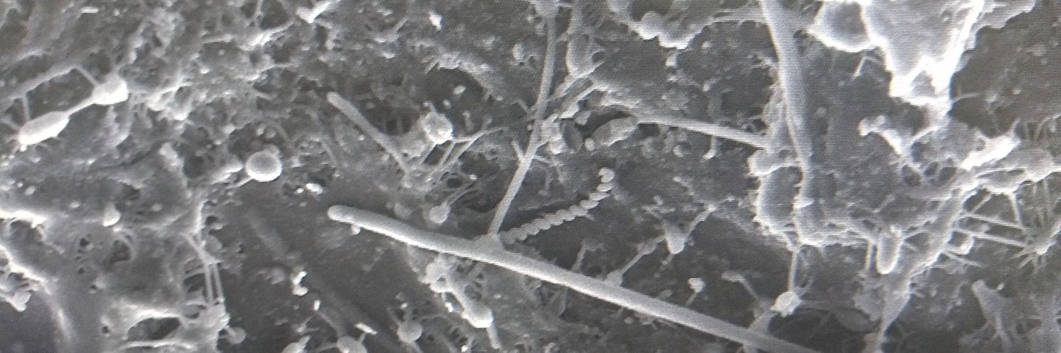 hacdoso's profile banner image