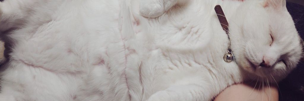 ato_k's profile banner image