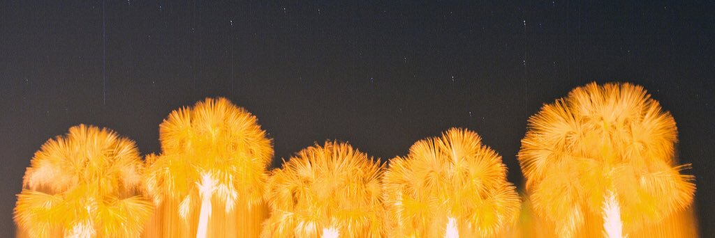 leeleecoolj's profile banner image