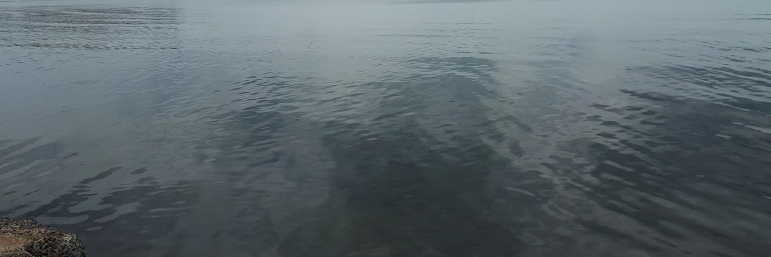 c_m_e_a's profile banner image