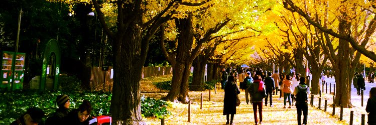 umami_ume's profile banner image