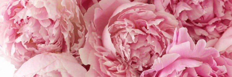 AngelaEglinger's profile banner image