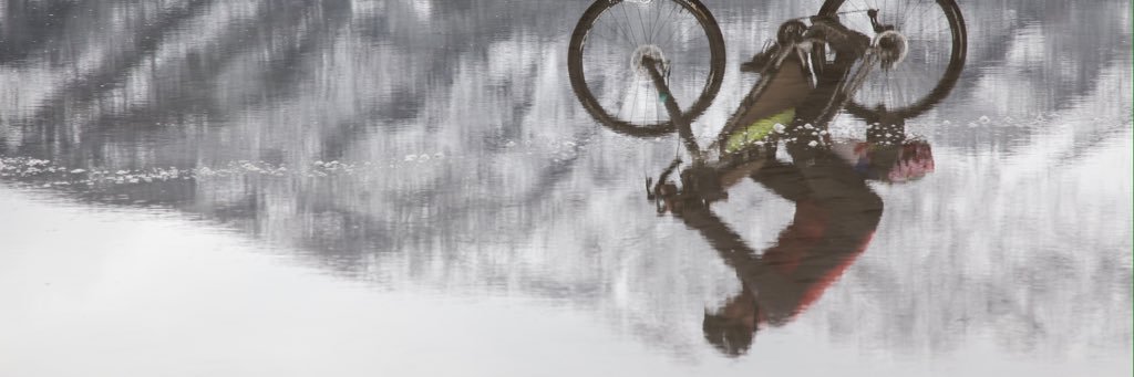 Greg Van Tighem banner