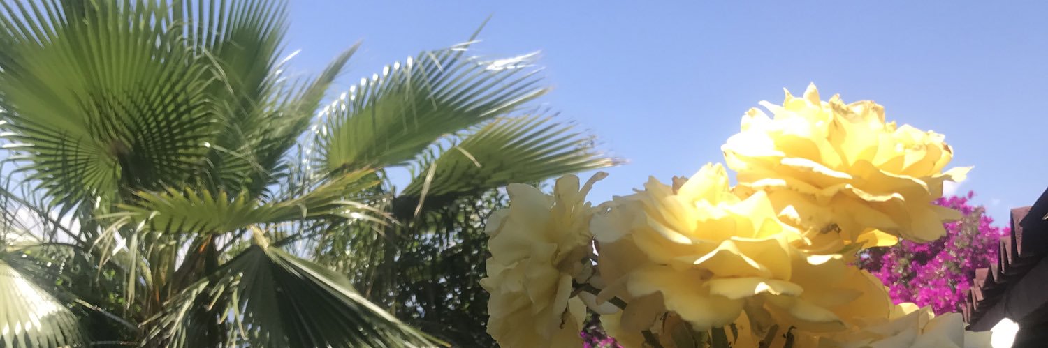 Semetli 🇹🇷🇹🇷🇹🇷 banner