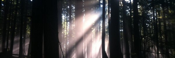 sinamanda Profile Banner