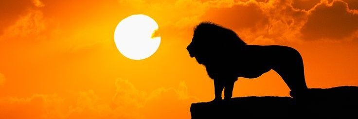 Φαίδρα.α 🇮🇷 banner