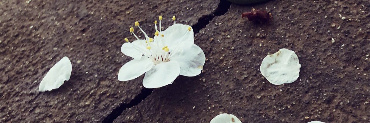 LOREEN___ZH's profile banner image