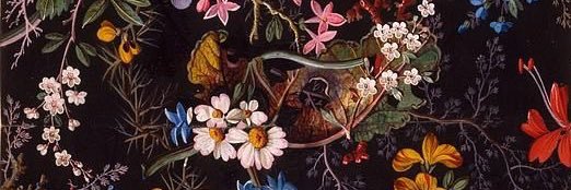 P banner