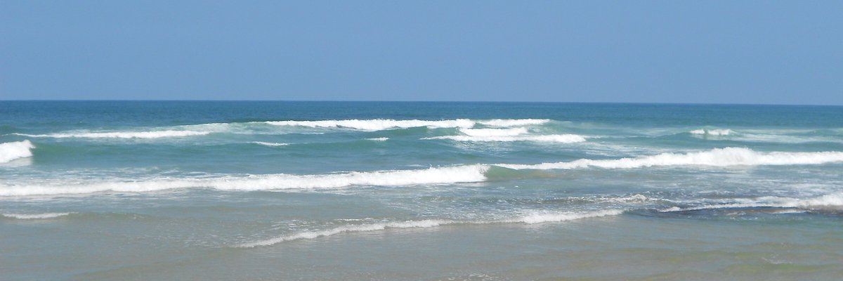 RonitZilkha's profile banner image