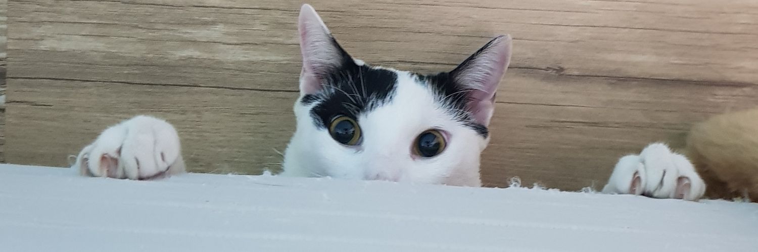 _gabiskywalker's profile banner image