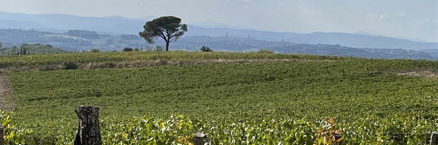 Federico Ceccuzzi banner