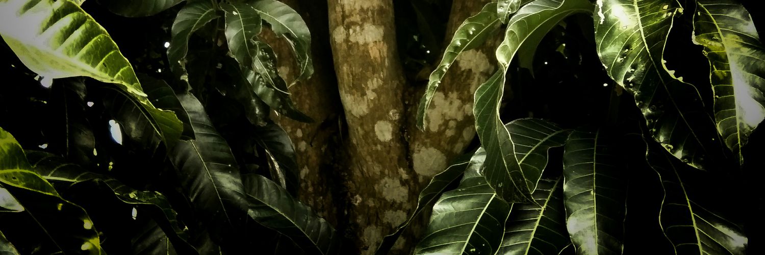 AzidinAzim's profile banner image