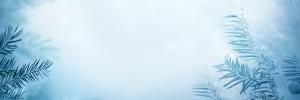 DoctorChelsey's profile banner image