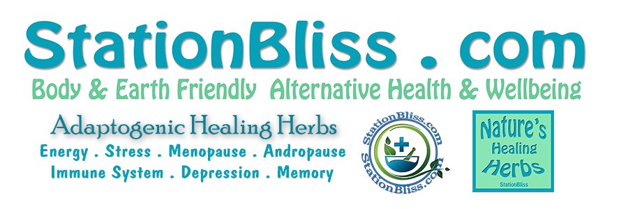StationBliss's profile banner image
