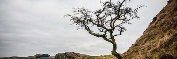 Edua_Lande's profile banner image