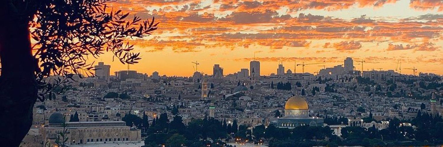 almshdg_511's profile banner image