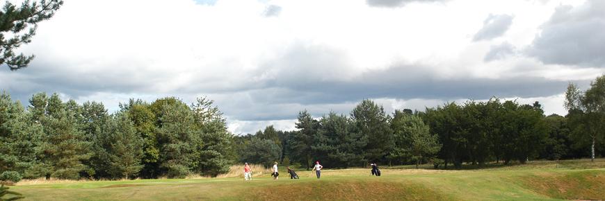 EdzellGolf's profile banner image