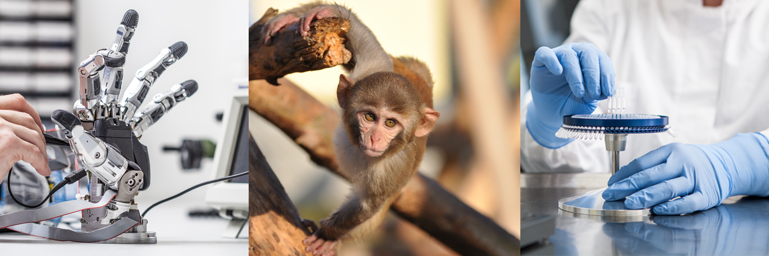 Primatenzentrum DPZ banner