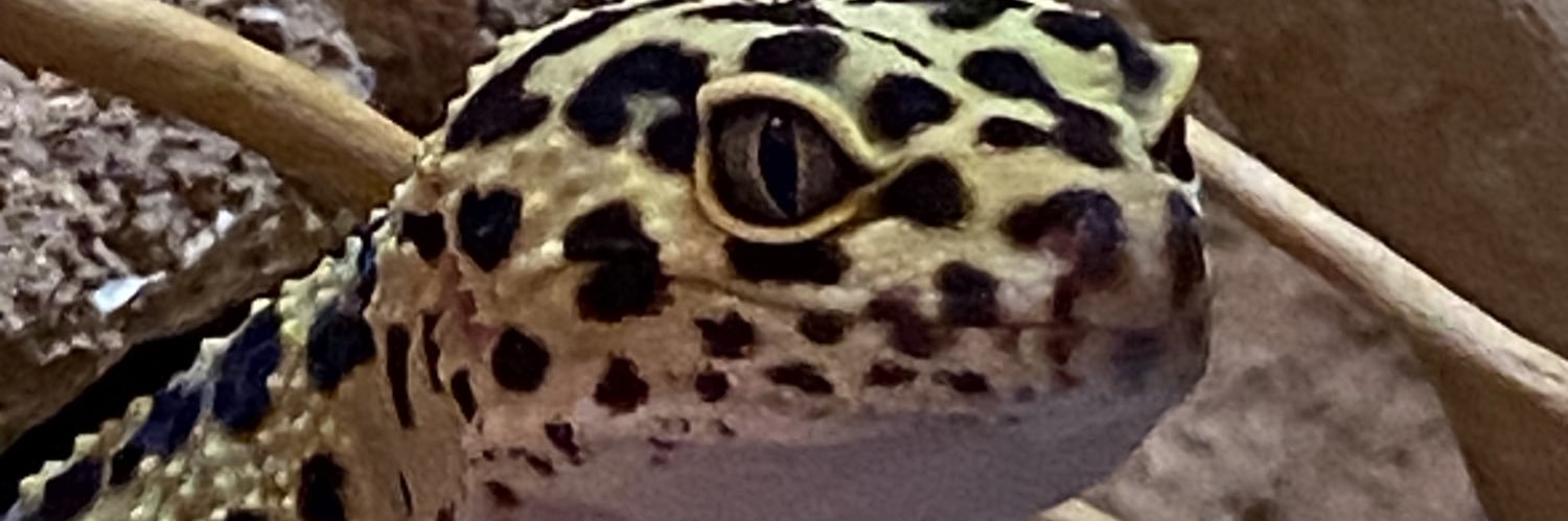bcdoor's profile banner image