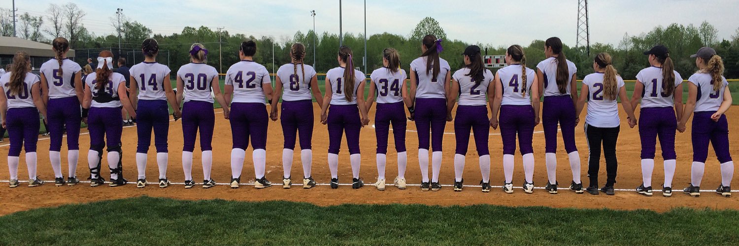 MTHS_Softball banner