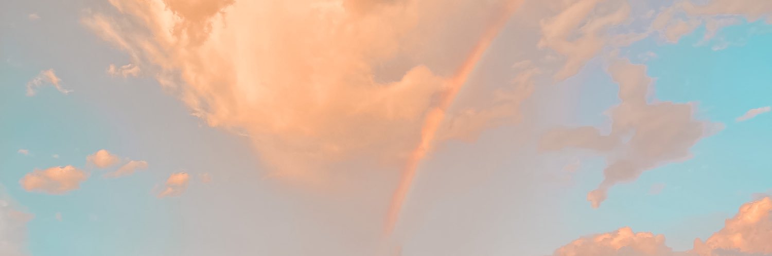 Macy_Lewis's profile banner image