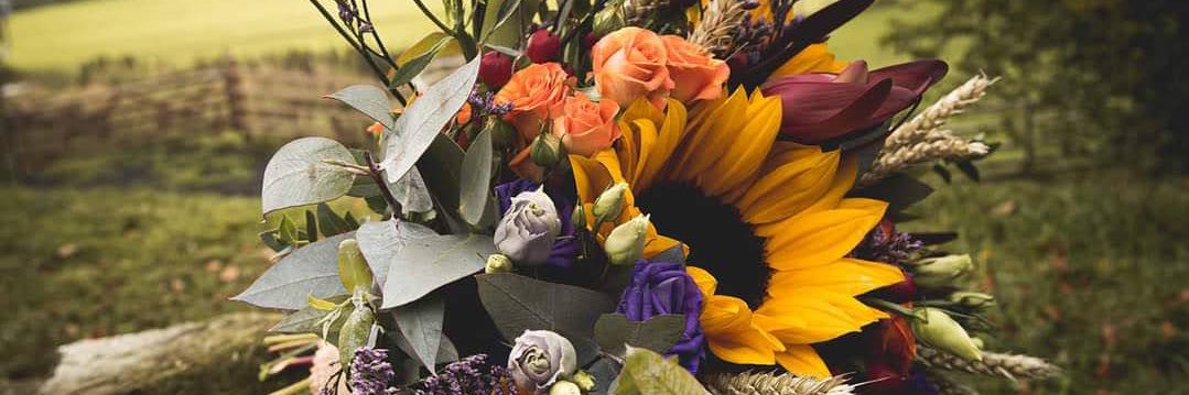 stunningflowers's profile banner image