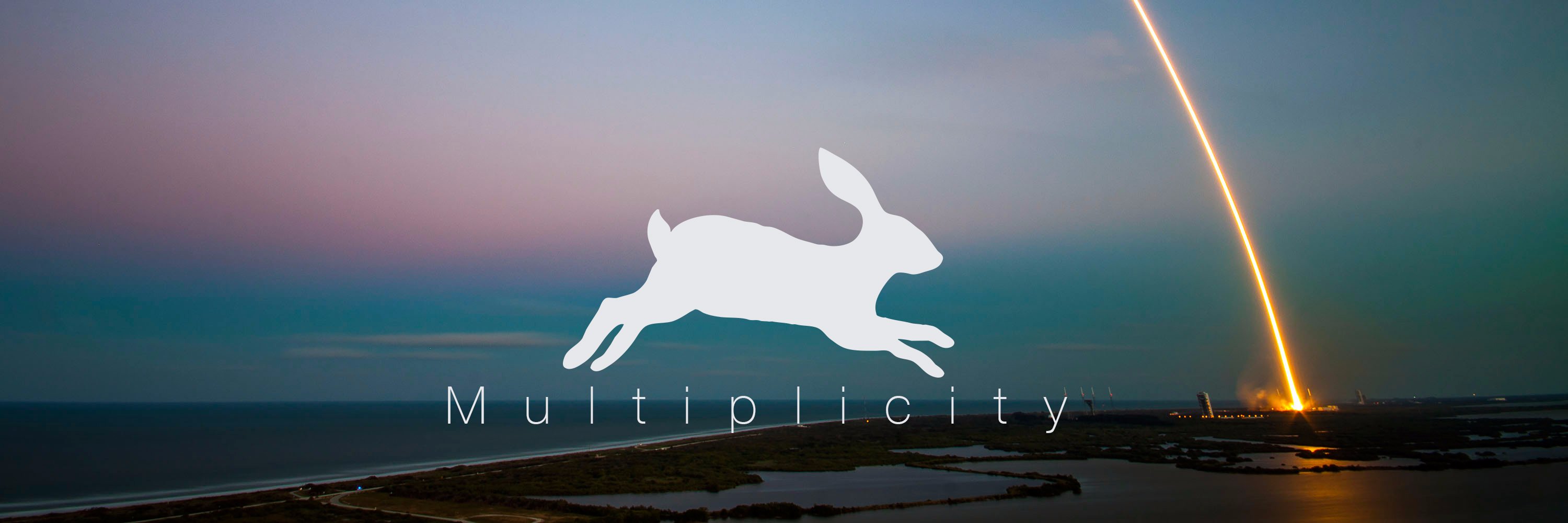 Multiplicity banner