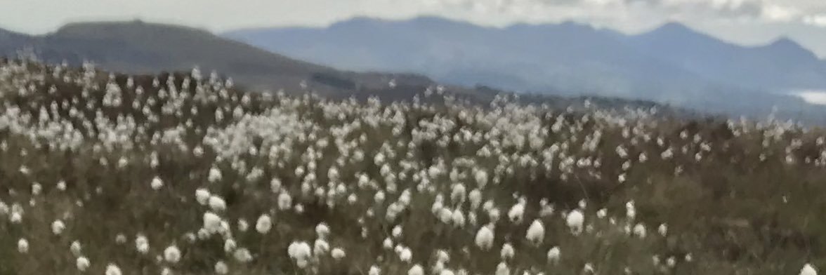 iolallew's profile banner image