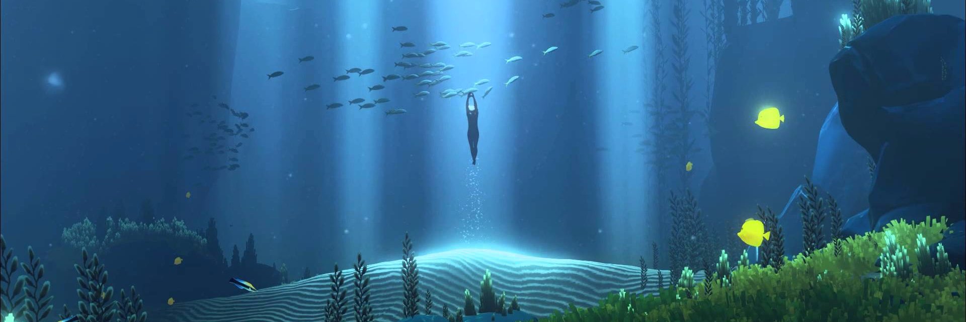 playwellco's profile banner image