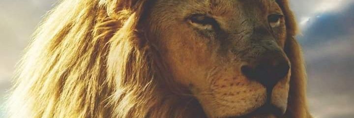 Miguelkicdo's profile banner image
