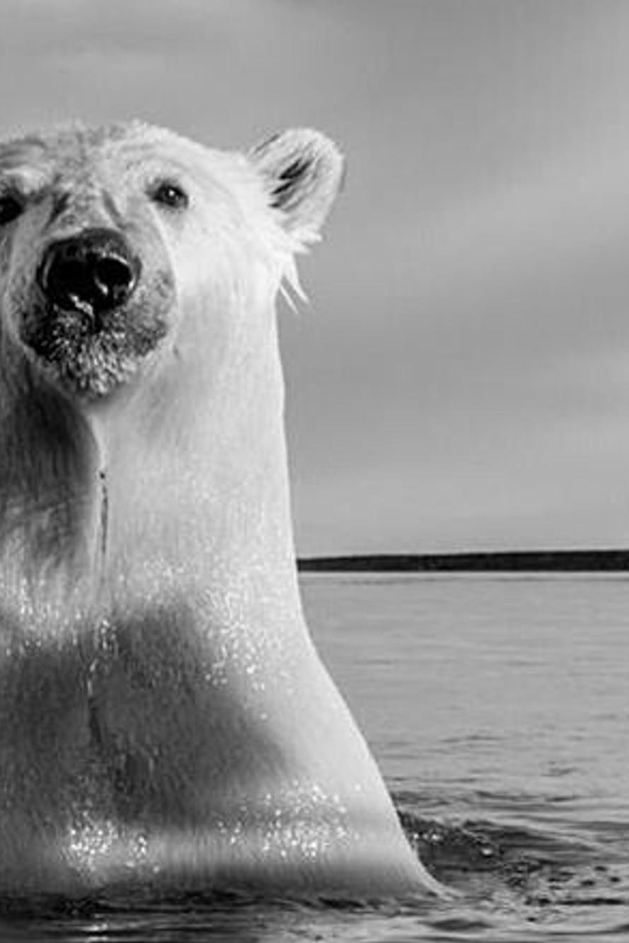 BrawnAspects's profile banner image