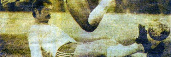 realbergamota's profile banner image