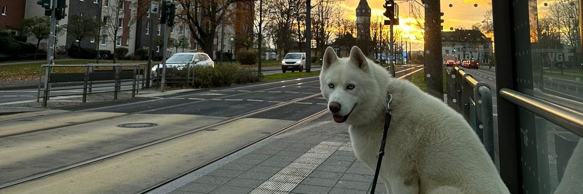 diegoT99Y's profile banner image