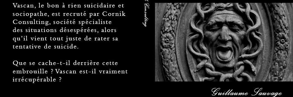 RaoutVincent's profile banner image