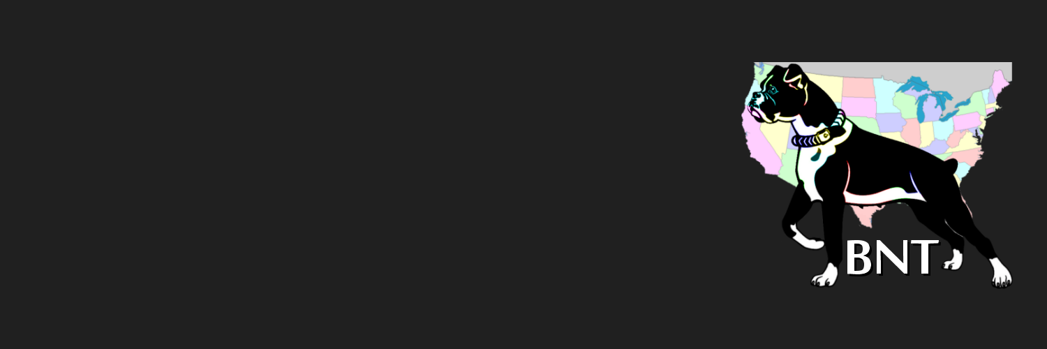 BoxerNetwork's profile banner image