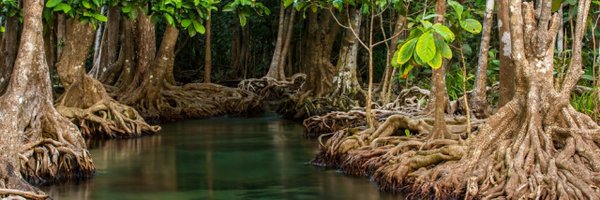 PRZHT Profile Banner