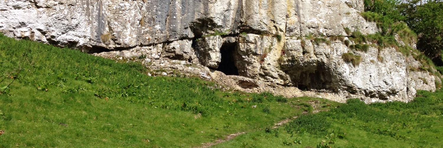 Prof Hannah O'Regan banner