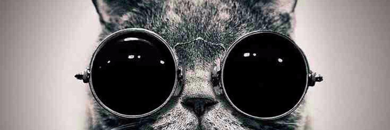 dhalb_'s profile banner image