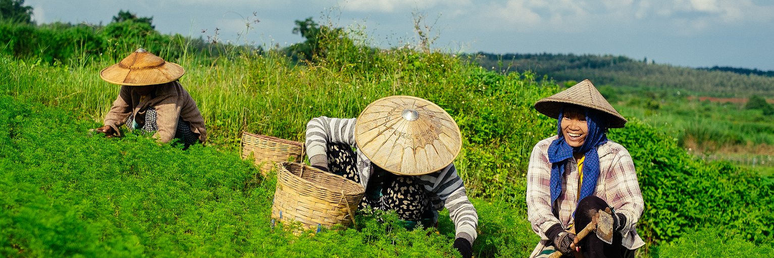 Nordic Development Fund banner