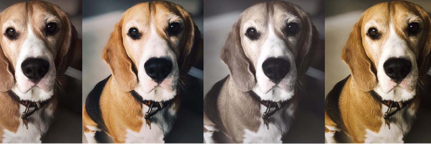 𝒞𝒶𝓇𝓁𝓎 𝒮𝓉𝓇𝒶𝓉𝓉𝑜𝓃 banner