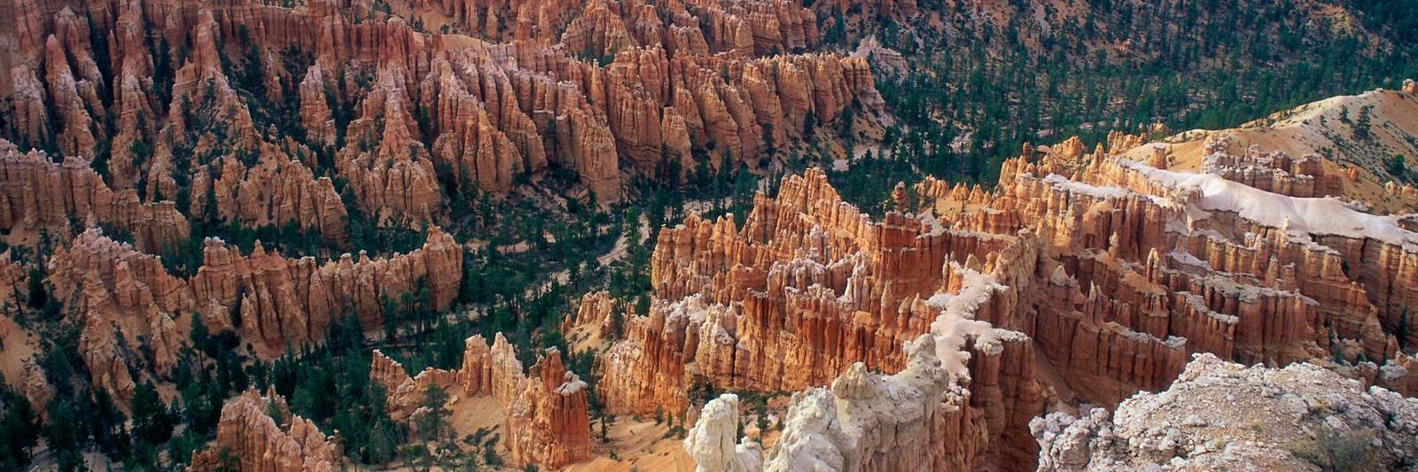 Nature Pictures banner